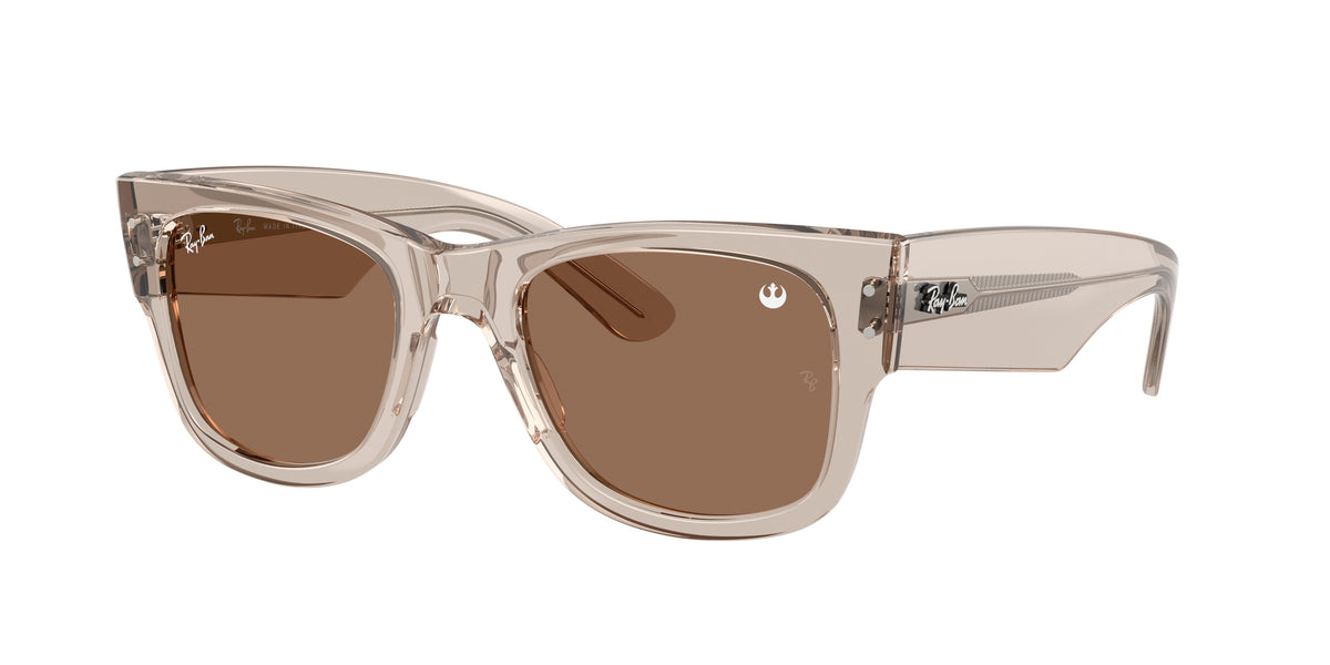 Ray-Ban 0RB0840SF