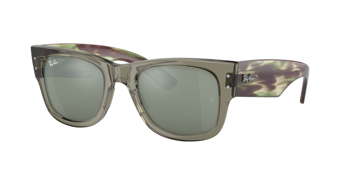 Ray-Ban 0RB0840S