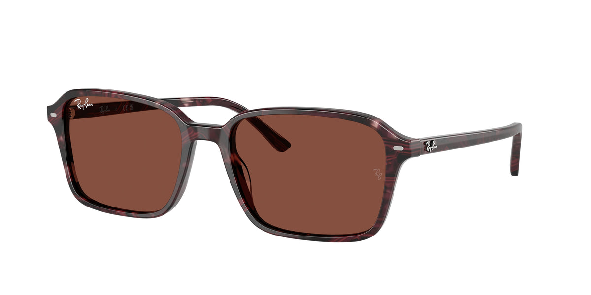 Ray-Ban 0RB2231F