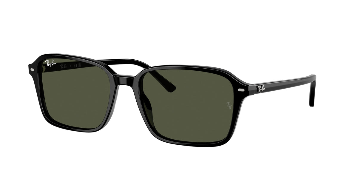 Ray-Ban 0RB2231F