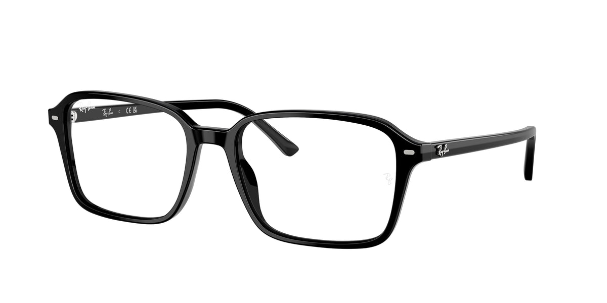 Ray-Ban 0RB2231