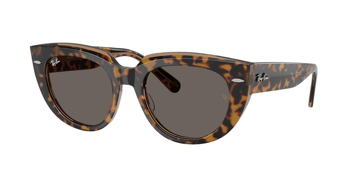 Ray-Ban 0RB2286