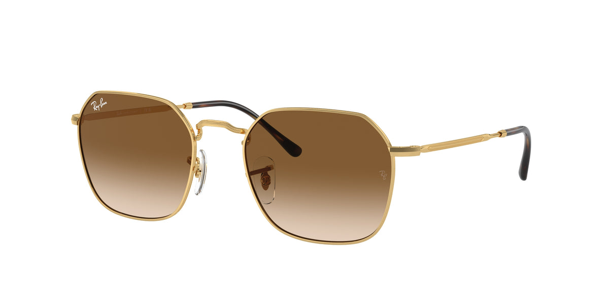 Ray-Ban 0RB3694