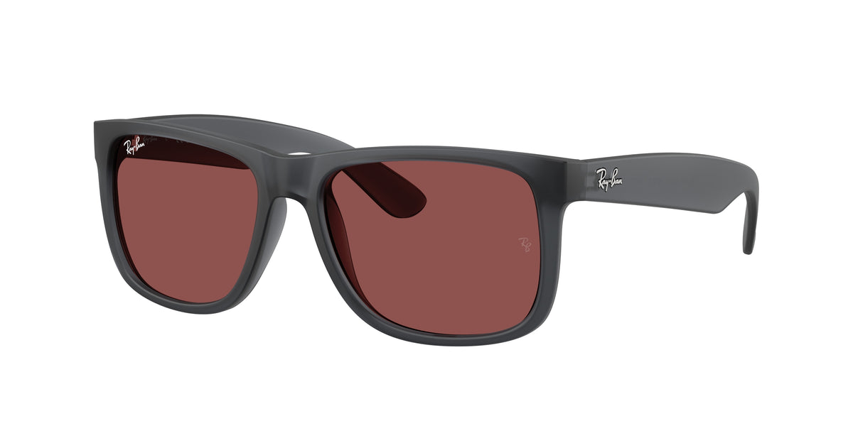 Ray-Ban 0RB4165