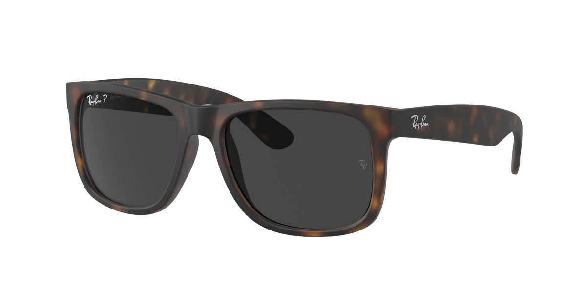 Ray-Ban 0RB4165