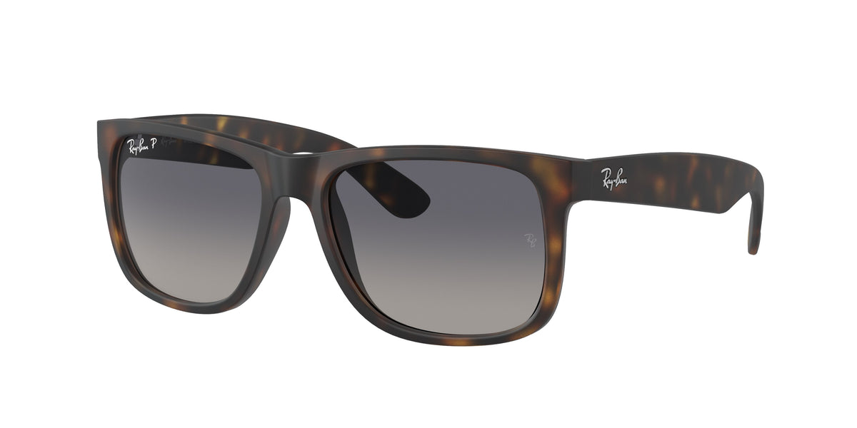Ray-Ban 0RB4165