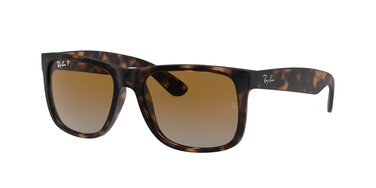 Ray-Ban 0RB4165