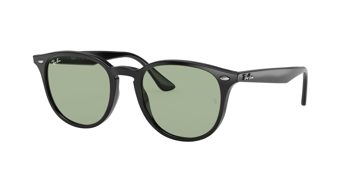 Ray-Ban 0RB4259F