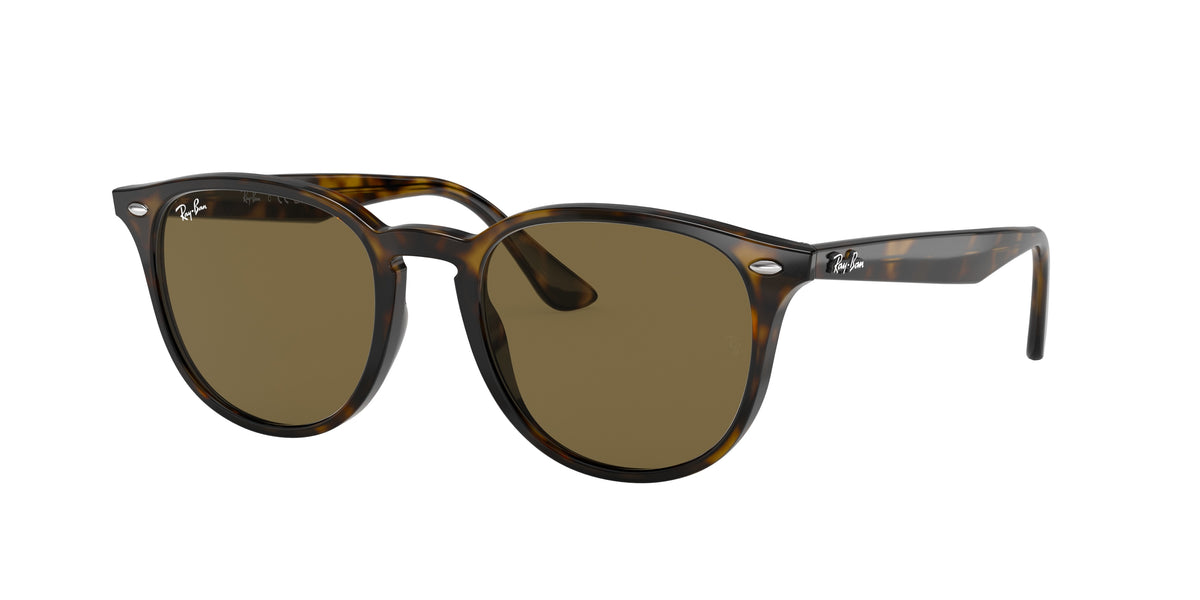 Ray-Ban 0RB4259F