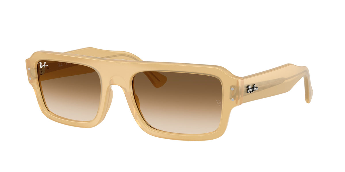 Ray-Ban 0RB4454F