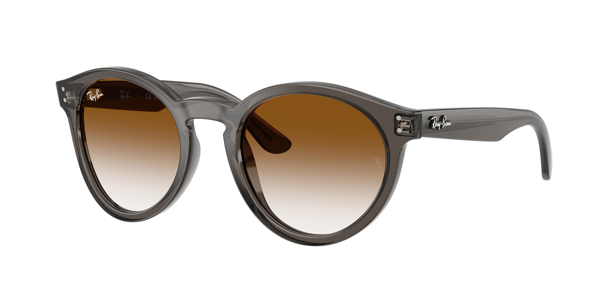 Ray-Ban 0RBR0505S