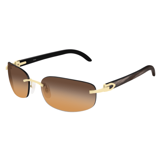 Cartier CT0020RS