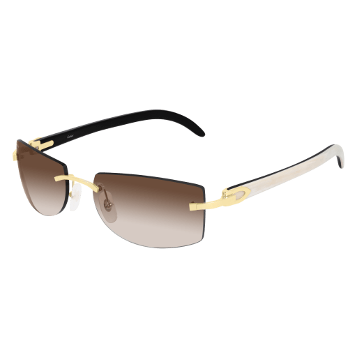 Cartier CT0017RS