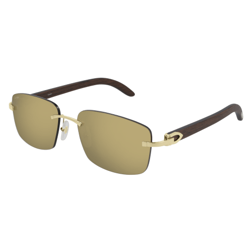 Cartier CT0013RS