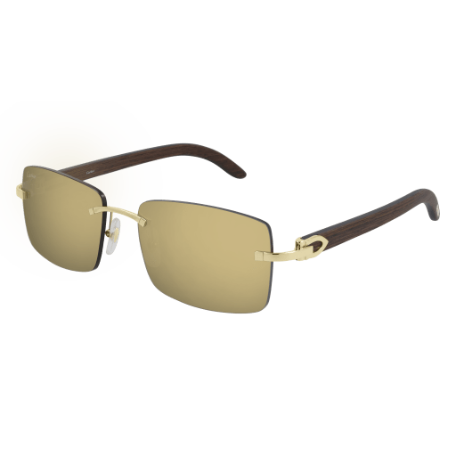 Cartier CT0012RS