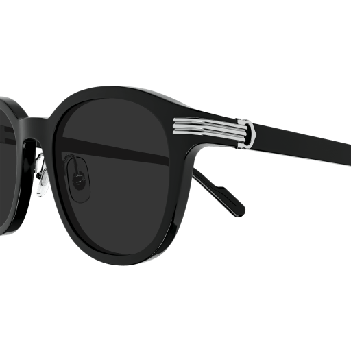 Cartier CT0302S