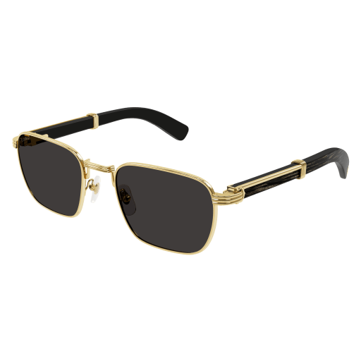 Cartier CT0363S
