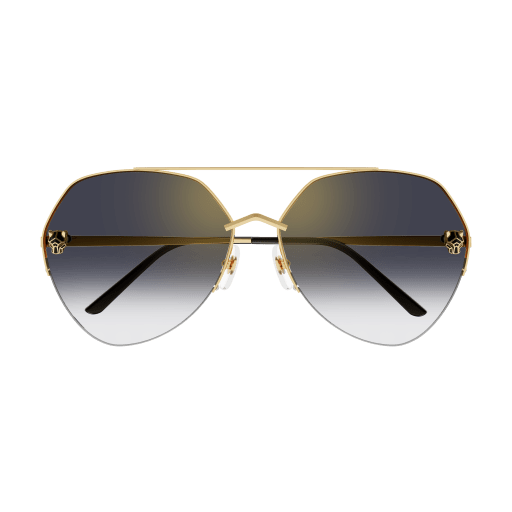 Cartier CT0355S