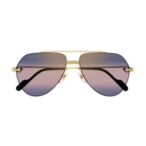Cartier CT0427S