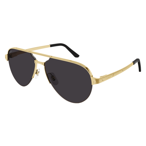 Cartier CT0386S
