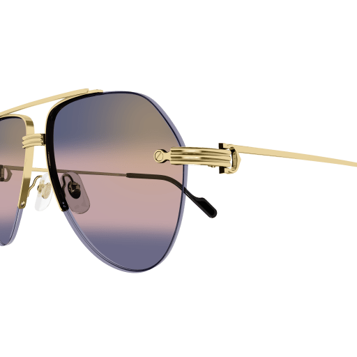 Cartier CT0427S