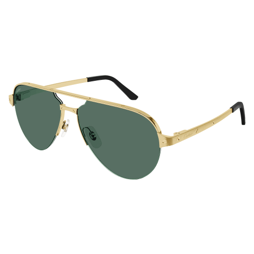 Cartier CT0386S