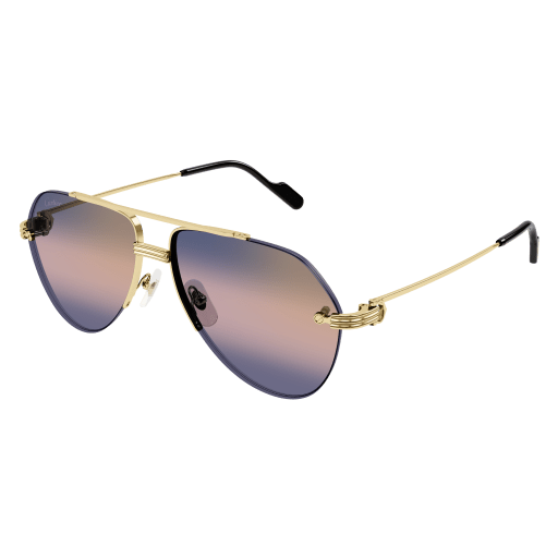 Cartier CT0427S