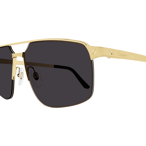 Cartier CT0385S