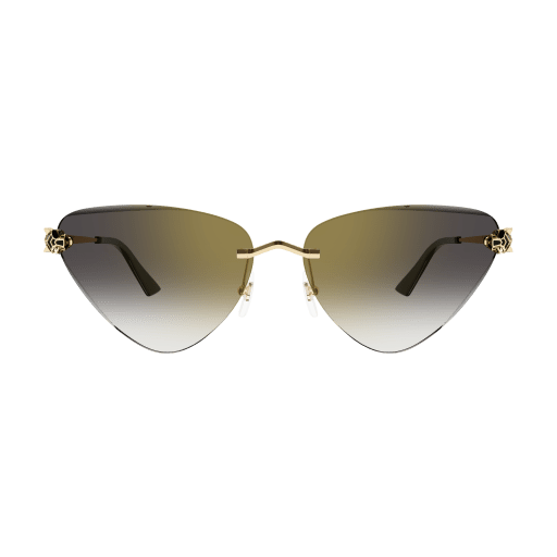 Cartier CT0399S