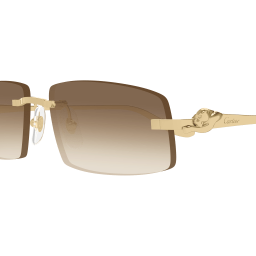 Cartier CT0505S