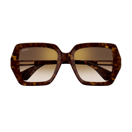 Cartier CT0507S