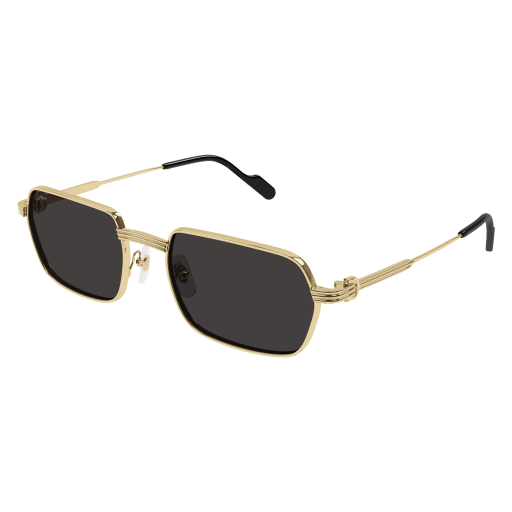 Cartier CT0463S