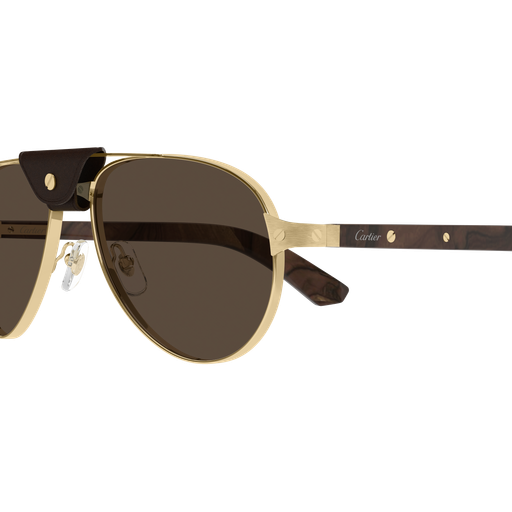 Cartier CT0495S