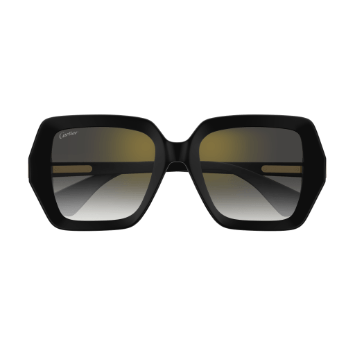 Cartier CT0507S