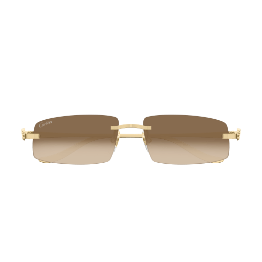 Cartier CT0505S