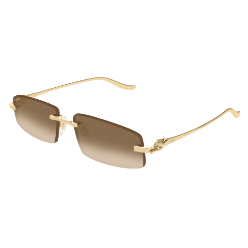 Cartier CT0505S