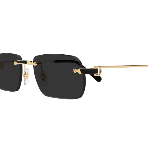 Cartier CT0498S