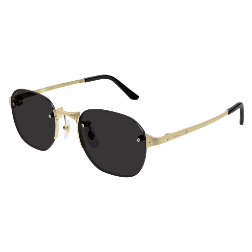 Cartier CT0459S