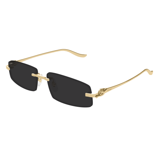 Cartier CT0505S