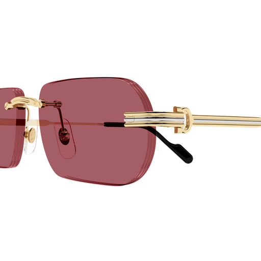 Cartier CT0577S