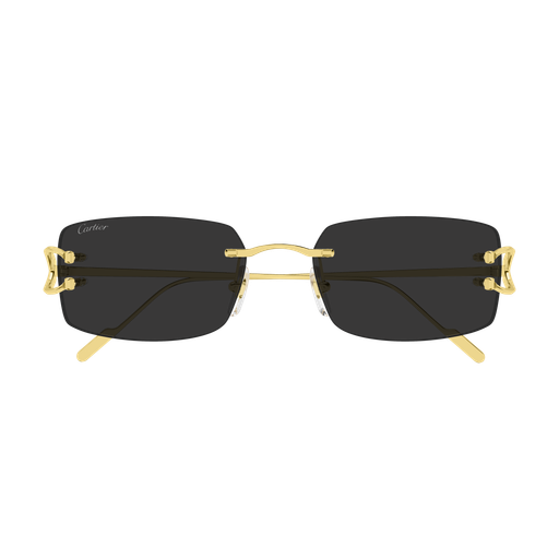 Cartier CT0605S