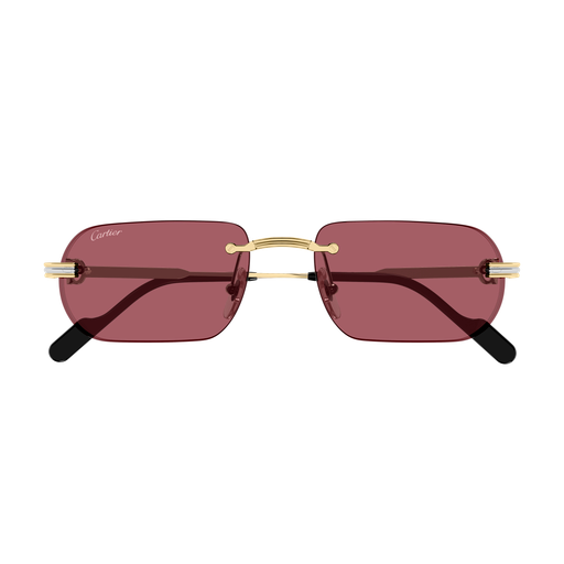 Cartier CT0577S