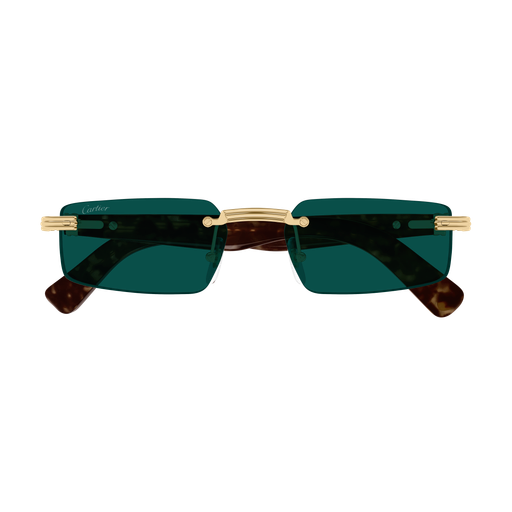Cartier CT0537S