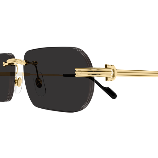 Cartier CT0577S