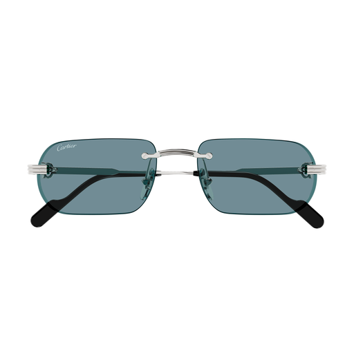 Cartier CT0577S