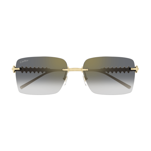Cartier CT0545S