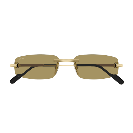 Cartier CT0535S