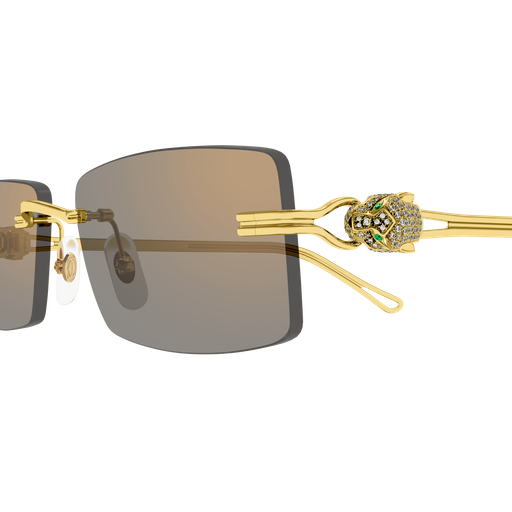 Cartier CT0647S