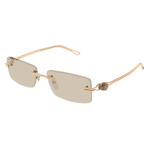 Cartier CT0647S