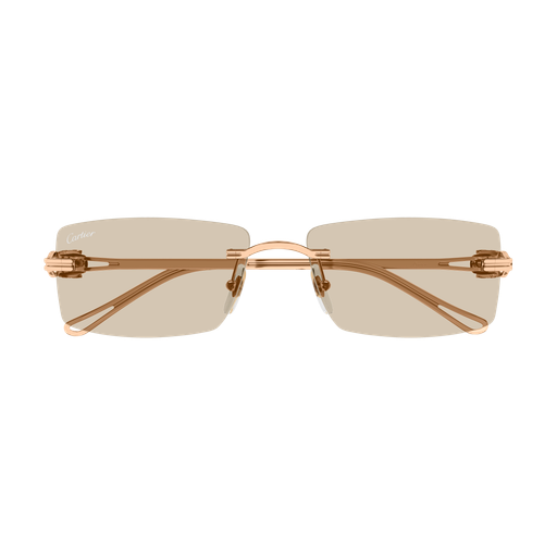Cartier CT0647S
